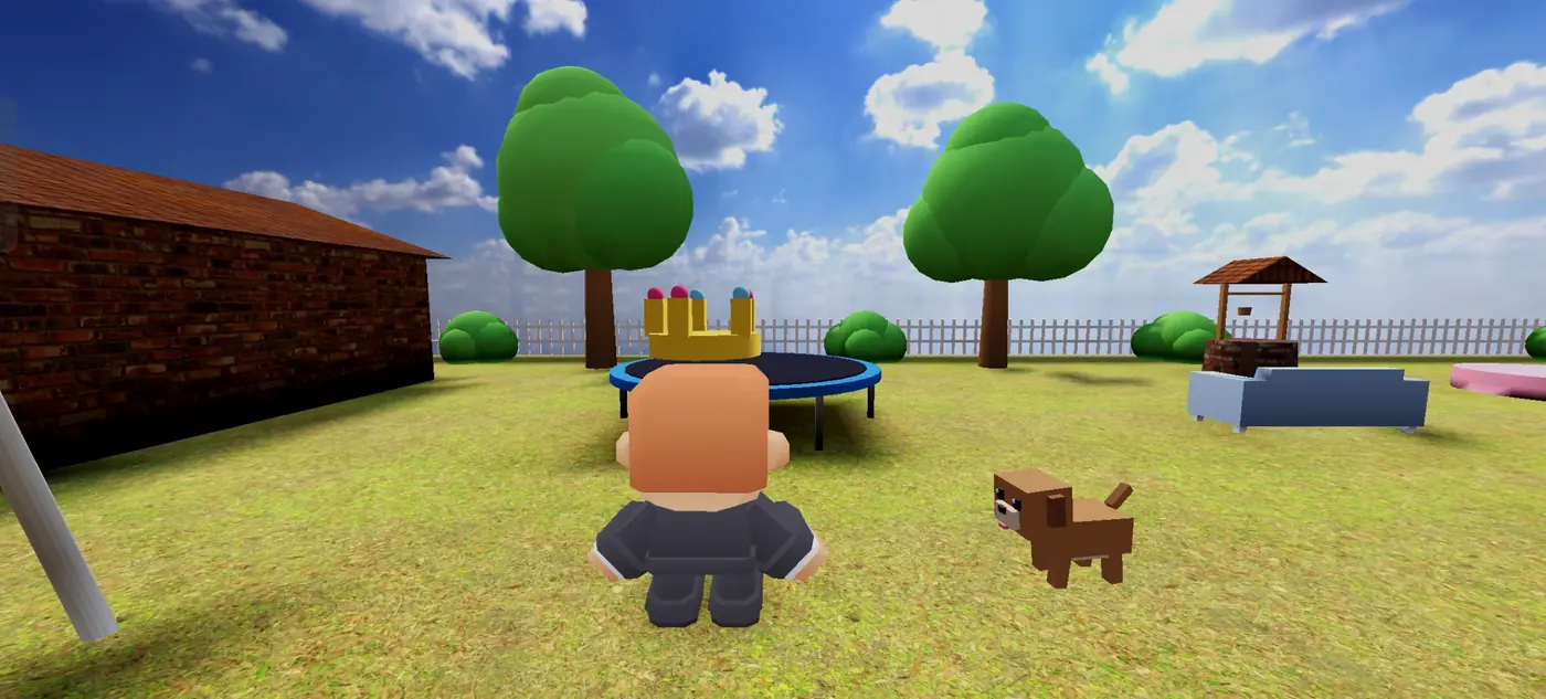 The garden with a trampoline and a wishing well